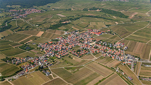 Kallstadt